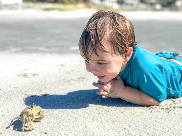 Child watching crab