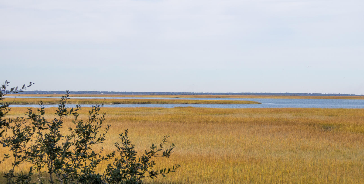 Fripp Island’s nature reserves