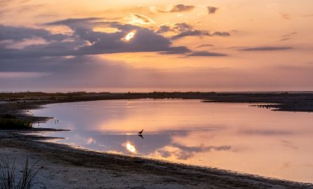 Super Bowl Sunday - Fripp Island Resort