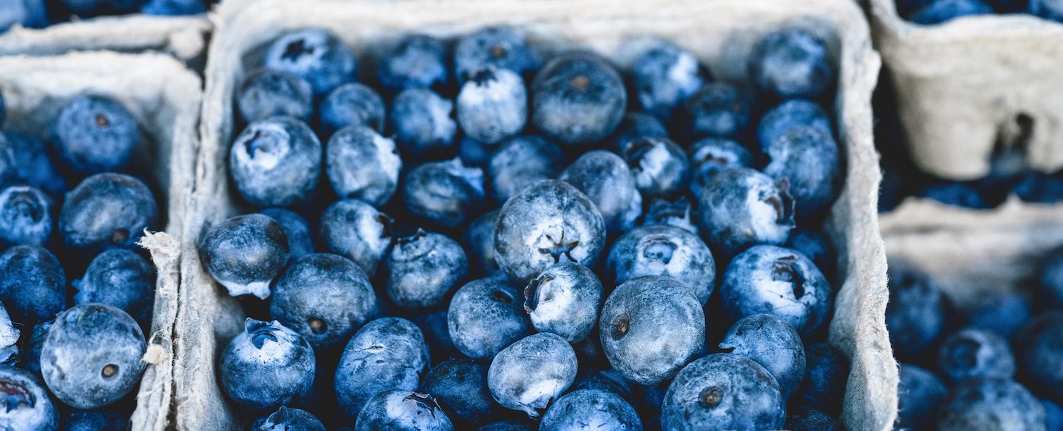 blueberries